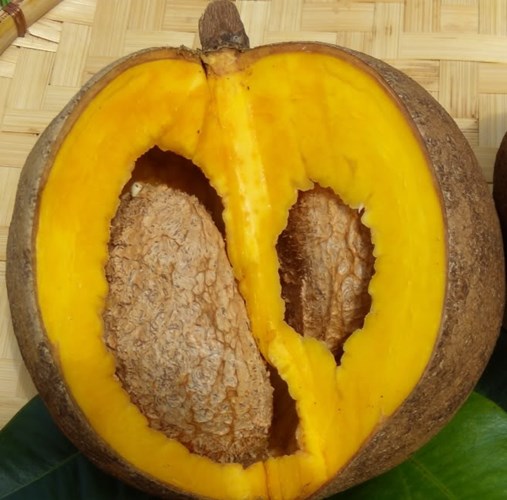 Giống[-]táo[-]Mỹ[-]có[-]hình[-]dáng[-]khá[-]giống[-]quả[-]hồng[-]xiêm[-]đang[-]được[-]ưa[-]chuộng